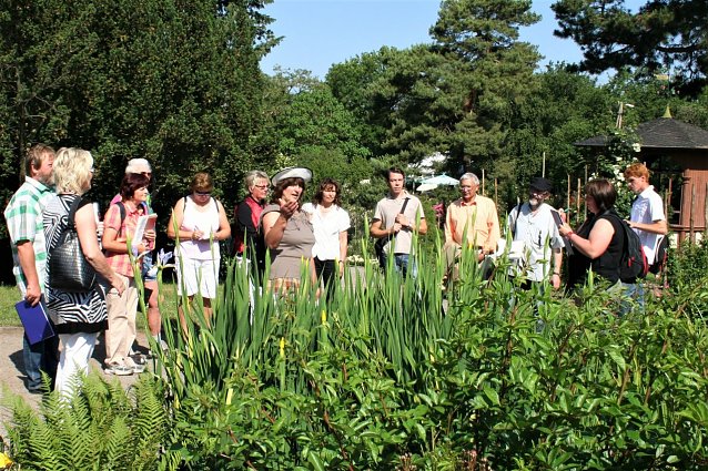 Bild: F&uuml;hrungen durch das Rosarium sind sehr beliebt