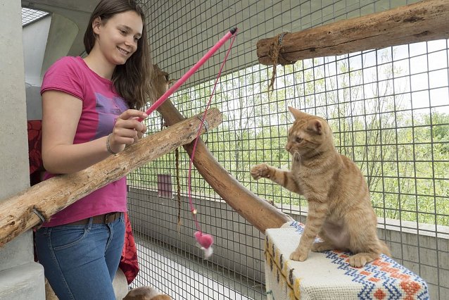 Bild: Tierschutzpreis f&uuml;r Jugendliche