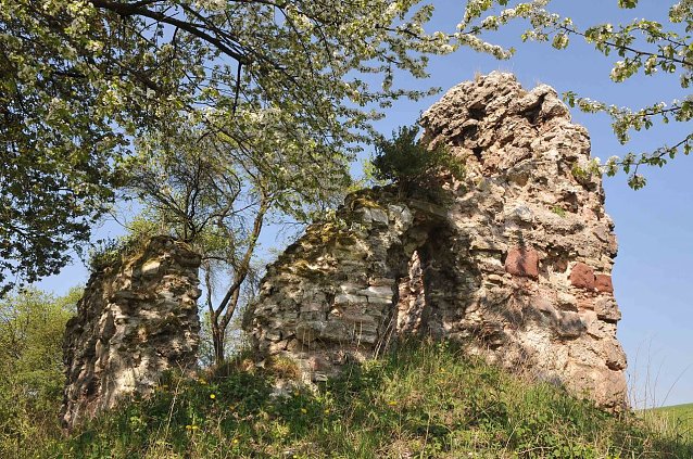 Bild: Burgruine Bernecke