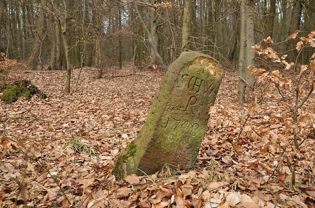 Bild: Ein Grenzstein im Breitunger Gemeindewald aus dem Jahre 1748