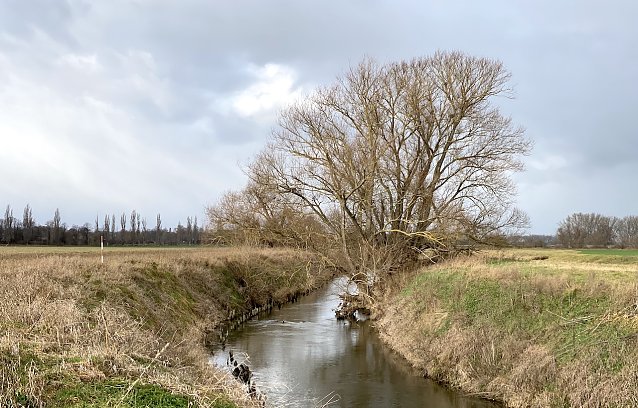 Bild: Meteorologen bescheinigen einen zu warmen Februar. Hier an der Unstrut