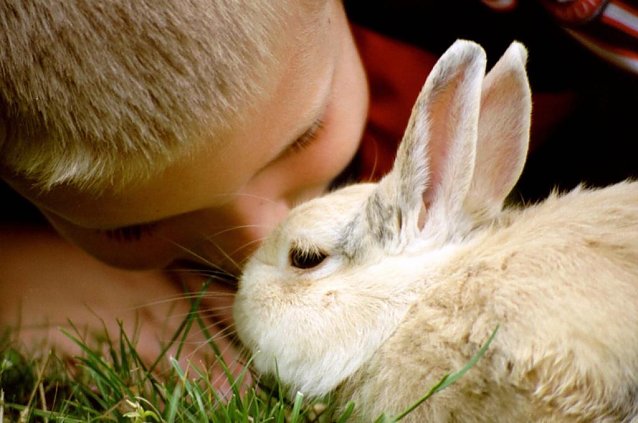 Bild: Wir suchen die sch&ouml;nsten Osterfotos