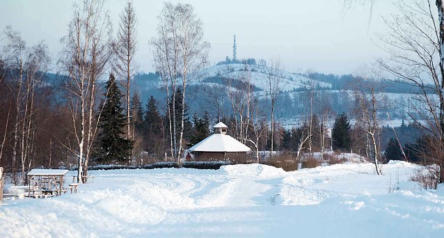 Bild: Wunderbare Winterlandschaft bei Benneckenstein