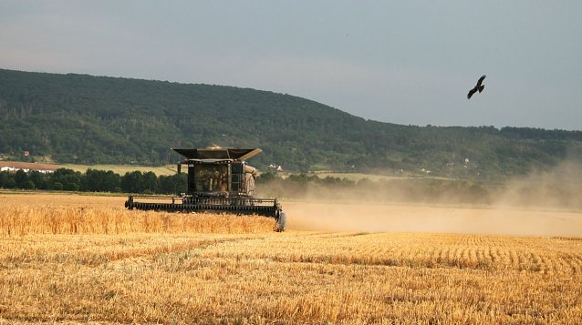 Bild: Beginn der Erntezeit 