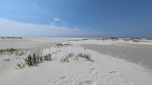 Bild: Traumhaftes Friesland Schiermonnikoog/Oostmahorn (3)