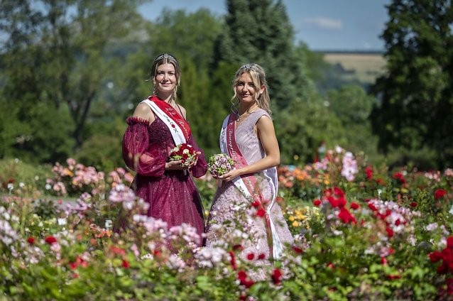 Bild: Sangerhausen sucht die 13. Rosenprinzessin