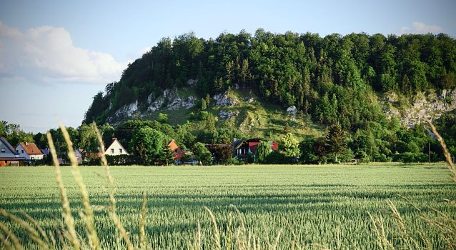 Bild: Ein gr&uuml;ner H&uuml;gel, davor ein Feld. 