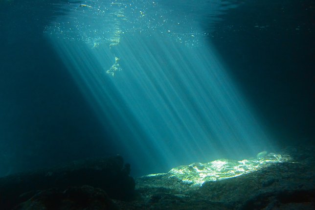 Bild: Tipps f&uuml;r die Unterwasserwelt