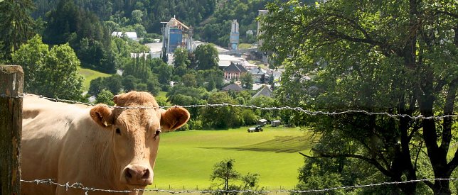 Bild: Natur und Gipsproduktion k&ouml;nnen im Einklang gehalten werden.