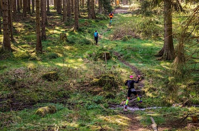 Bild: Zum 40. Mal &uuml;ber den Harz