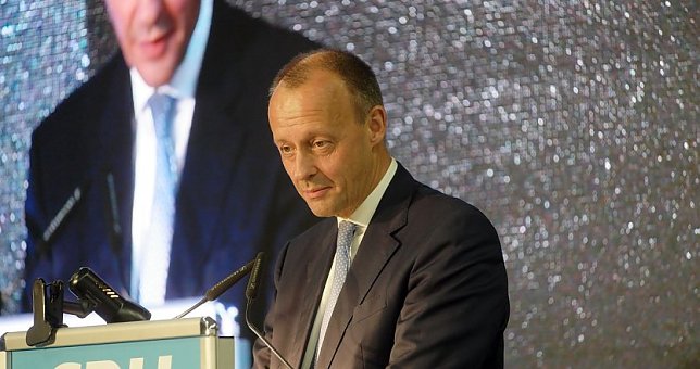 Bild: Das war vor sechs Jahren: Friedrich Merz in Nordhausen klang damals inhaltlich v&ouml;llig anders als heute.