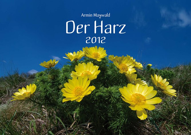 Bilderkalender (Foto: Armin Maywald) Bilderkalender (Foto: Armin Maywald)