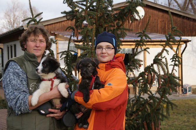 Keine Weihnachtsgeschenke (Foto: B. Gerstenberger)