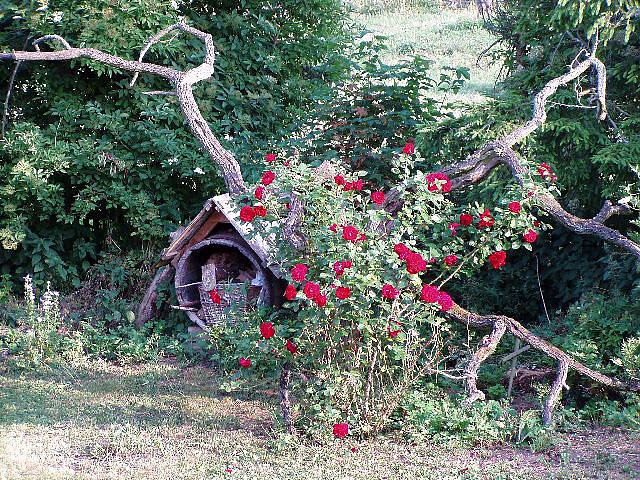 Rosenbaum (Foto: Kunst und Kram)