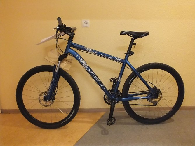 Besitzer gesucht (Foto: BP Erfurt) Besitzer gesucht (Foto: BP Erfurt)