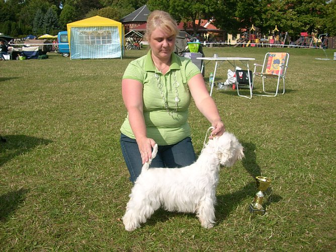 Spezialzuchtschau Hunde auf dem Possen (Foto: Karl-Heinz Herrmann)