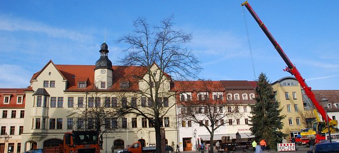 Der neue Weihnachtsbaum steht. Die 13 Meter hohe Edeltanne wurde heute Vormittag auf dem Hettstedter Markt errichtet.  (Foto: Jochen Miche)