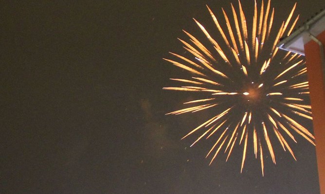 Silvester mit Tieren - Tipps vom Tierschutzbund (Foto: Angelo Glashagel) Silvester mit Tieren - Tipps vom Tierschutzbund (Foto: Angelo Glashagel)