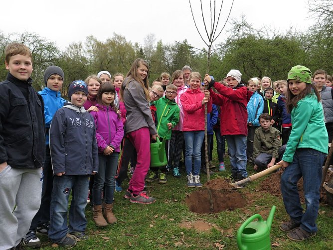 Ein Kind, ein Baum - Sch&uuml;lerinnen und Sch&uuml;ler der Grundschule Gispersleben haben am Dienstagvormittag einen Apfelbaum auf der Streuobstwiese des Schullandheims Harzrigi gepflanzt (Foto: Schullandheim Harz Rigi)