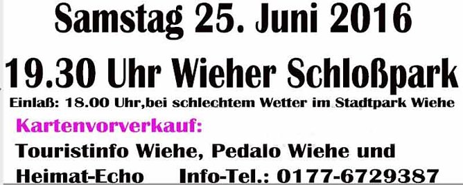 Die Operettennacht im Schlosspark Wiehe (Foto: Privat)