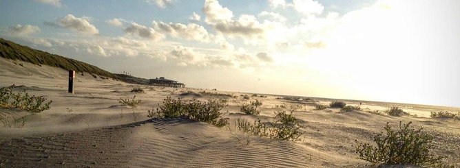 Sommersturm auf Ameland (Foto: S. Schedwill)