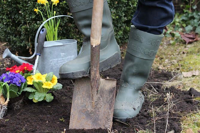 Foto mit einem Spaten (Foto: Helios Sangerhausen) Foto mit einem Spaten (Foto: Helios Sangerhausen)