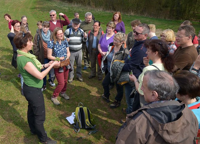 Kräuterwanderung (Foto: Biosphärenreservat, Heinz Noack) Kräuterwanderung (Foto: Biosphärenreservat, Heinz Noack)