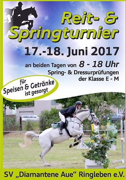 Am Wochenende Reitturnier in Ringleben (Foto: Privat)