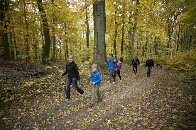 Den Alten Wald der Hohen Schrecke mit der neuen Wander- und Radkarte entdecken (Foto: Thomas Stephan)