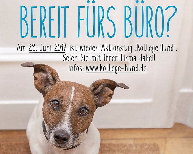 Plakat (Foto: Deutscher Tierschutzbund)