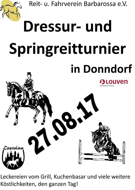 Dressur- und Springturnier in Donndorf (Foto: Privat)