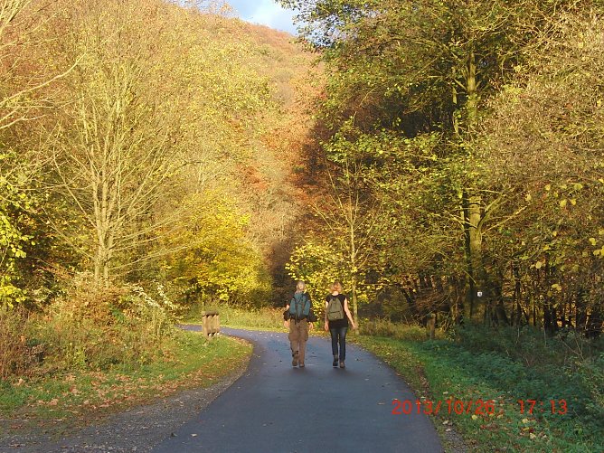 Die Aufnahme entstand beim 17. S&uuml;dharz-Hunderter am 28. Oktober 2013 bei Breitungen. (Foto: privat)
