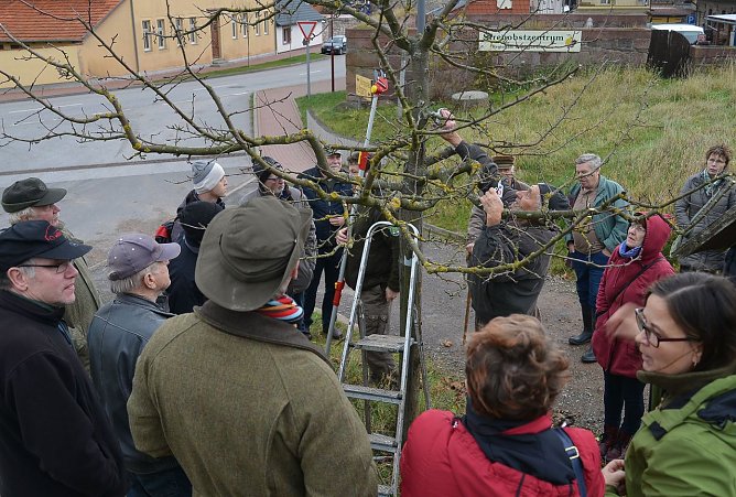 Baumschnitt leicht gemacht (Foto: Heinz Noack)