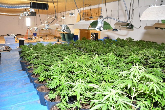 Drogen sichergestellt (Foto: Polizei MSH) Drogen sichergestellt (Foto: Polizei MSH)