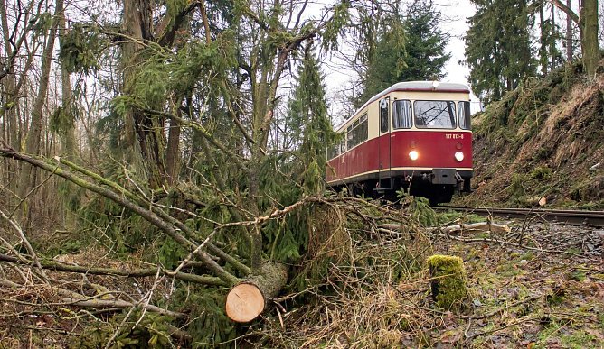 Es rollt wieder (Foto: HSB/Bahnsen)