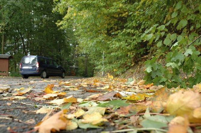 Vorsicht, Laub (Foto: T&Uuml;V)