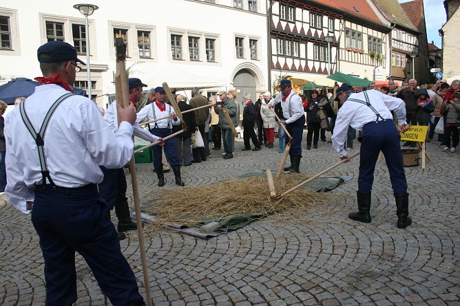 13. S&uuml;dharzer Regionalmarkt (Foto: Rosenstadt Sangerhausen )