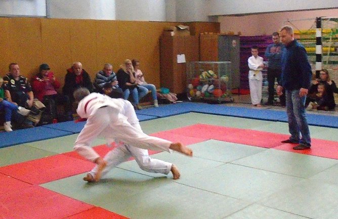 Kleine Judoka mit gro&szlig;em K&auml;mpferherz (Foto: Peter Ke&szlig;ler)