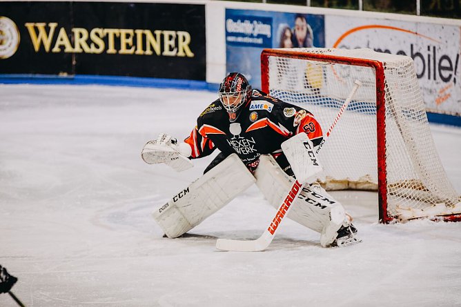 Harzer Falken unterliegen Halle und dem Unparteiischen (Foto: Fritz Hessel)