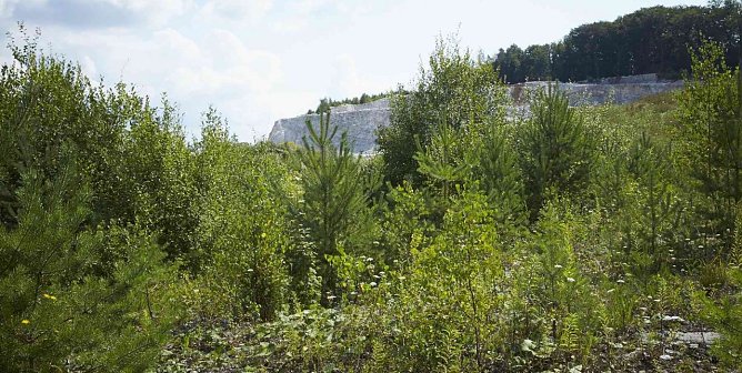 Rohstoffabbau im S&uuml;dharz (Foto: privat)