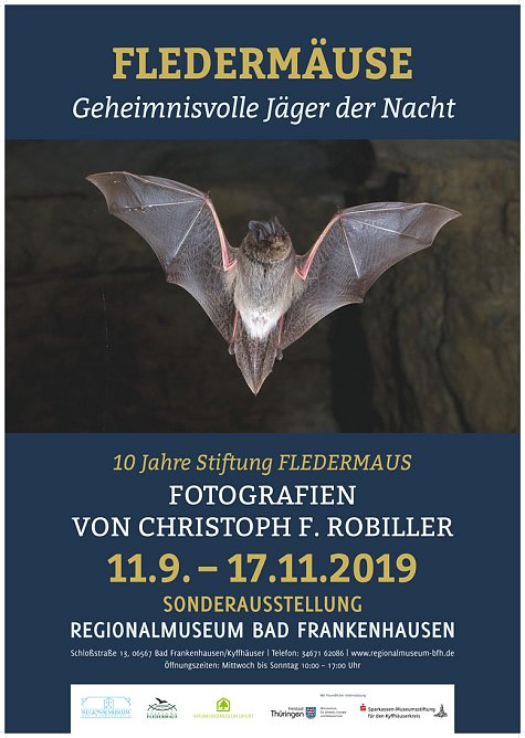 Fledermäuse Geheimnisvolle Jäger der Nacht (Foto: Regionalmuseum Bad Frankenhausen) Fledermäuse Geheimnisvolle Jäger der Nacht (Foto: Regionalmuseum Bad Frankenhausen)