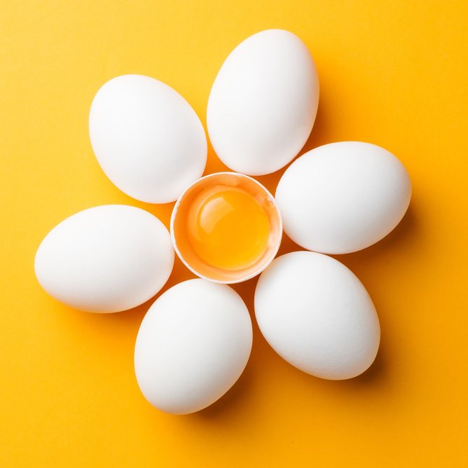 ei (Foto: akp public relations )