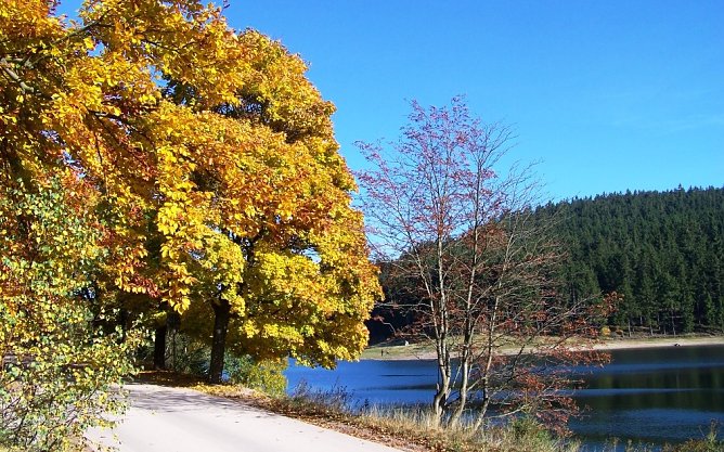 Herbst (Foto: Th&uuml;ringenForst)