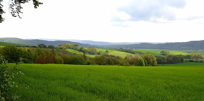 swaldschänke (Foto: Bettina Bauerschäfer) swaldschänke (Foto: Bettina Bauerschäfer)