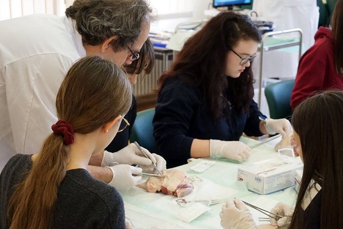 Sch&uuml;ler bei der praktischen &Uuml;bung  (Foto: Sebastian Krziwanie - Helios Klinik Lutherstadt Eisleben)