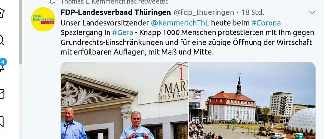 Screenshot Twitter FDP (Foto: privat)