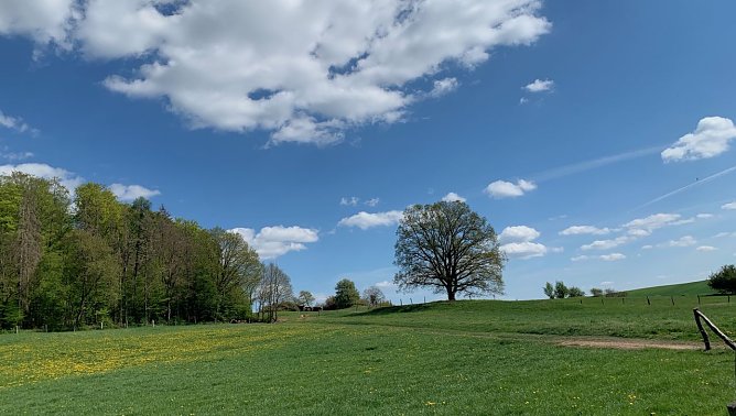 Wetter (Foto: oas) Wetter (Foto: oas)