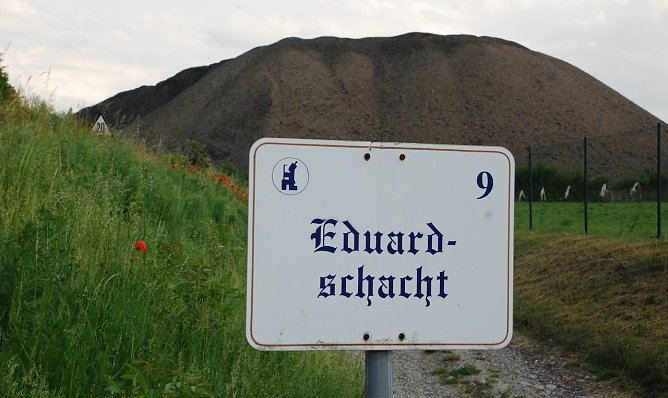 Der &ouml;stliche Ausl&auml;ufer der Halde des Eduardschachtes. Die Halde steht nun zum Verkauf. (Foto: J. Miche)