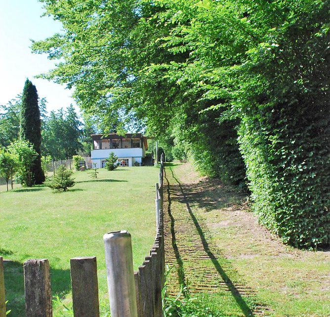 Zaun, Weg, Wald. Der Waldsaum soll vier Meter in die Tiefe gef&auml;llt werden. (Foto: J.Miche)