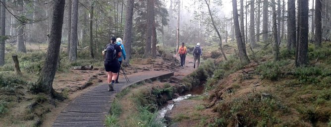 Kurz nach 7 bew&auml;ltigten die Teilnehmer des 13. Harz-Hunderters Extrem nach der ersten durchwanderten Nacht planm&auml;&szlig;ig den Abschnitt vom Torfhaus zum Brocken. (03.08.2019) (Foto: Bodo Schwarzberg)